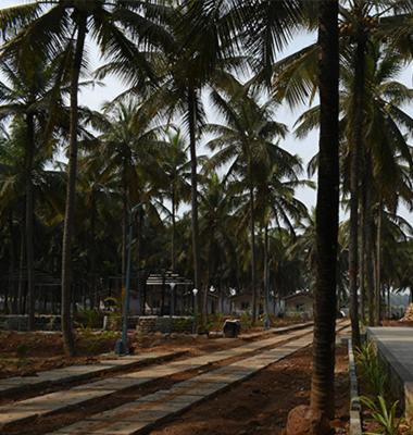 Thumbe Goodu Resort Yadiyur Buitenkant foto